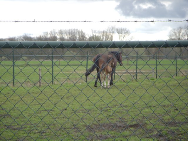 dscn2445.jpg