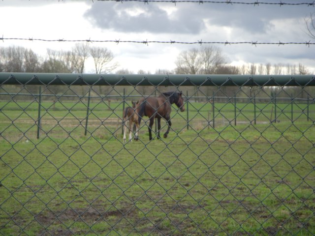 dscn2446.jpg