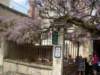 vezelay27_small.jpg