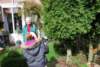 dsc_291816200023pasenmeersseb_small.jpg